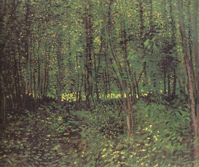 Vincent Van Gogh Trees and Undergroth (nn04) Spain oil painting art